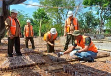 Siapkan 72 Ribu Bibit Jati Unggul, Perhutani Purwodadi Genjot Produktivitas Hutan