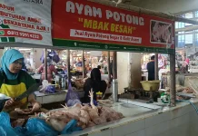 MBG Libur Tiga Pekan, Harga Ayam Potong dan Telur di Batang Melorot