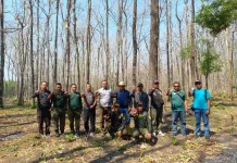 Musim Kemarau, Perhutani Survei Titik Rawan Kebakaran Hutan di Purwodadi