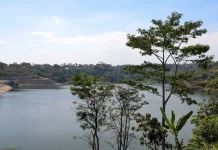 Bendungan Jlantah Dongkrak Produksi Padi, Petani Bisa Panen Tiga Kali Setahun