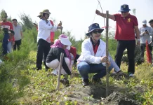 Wali Kota Agustina Ajak Karang Taruna Rawat Bibit Cemara Laut di Pulau Tirang