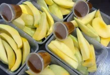 Tips Jualan Mangga Sambal Rujak Secara Online
