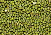 Rutin Konsumsi Kacang Hijau dan Manfaatnya bagi Kesehatan
