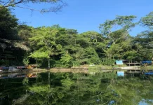 Senjoyo Tawarkan Wisata Alam dengan Kesegaran Mata Air Alami
