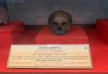 Museum Ronggowarsito, Ruang Edukasi Sejarah dan Budaya di Semarang