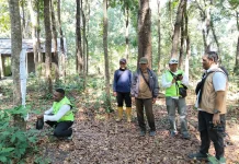 Perburuan Liar Ancam Populasi Monyet Ekor Panjang di Hutan Karangwinong