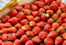 Beragam Dessert dengan Bahan Strawberry