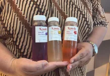 Kombi Kombucha Ajak Anak Muda Jalani Gaya Hidup Sehat
