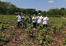 Dukung Rehabilitasi Hutan, KPH Purwodadi Evaluasi Persemaian Sinawah