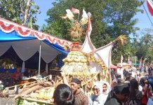 Angkat Tema Ketahanan Pangan, Desa Kemetul Gelar Tradisi Jolenan