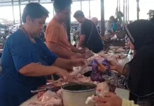 Dapur MBG Kembali Ngebul, Harga Pangan di Pekalongan Langsung Naik