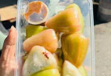Nikmatnya Makan Jambu Cincalo Segar dengan Sambal Rujak