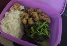 Rindu Masakan Eyang Putri dan Ibu dengan Membawa Bekal untuk Sarapan yang Sehat