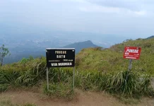 Serunya Jalur Pendakian Gunung Ungaran via Mawar Camp