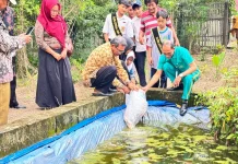 SMP 2 Winong Kabupaten Pati Bidik Predikat Adiwiyata Nasional
