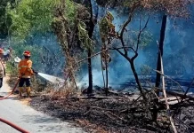 Gegara Bakar Sampah, Kandang dan Bangunan Rumah Warga Ludes Terbakar