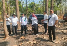 Perkuat Regenerasi Hutan, Perhutani Telawa Siapkan 265 Ribu Bibit Jati Plus