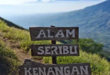 Alam Seribu Kenangan, Gunung Sindoro via Watu Lunyu