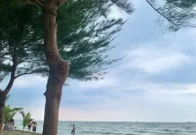 Pantai Tirang Menjadi Pilihan Tempat Bersantai di Semarang