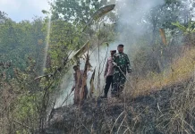 Kebakaran Lahan di Desa Tipar Kidul, Petugas Gerak Cepat Padamkan Api