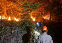 Karhutla Mulai Bermunculan di Jateng, Mayoritas Dipicu Pembakaran Lahan