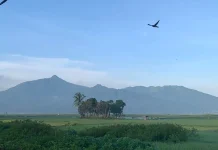 Menikmati Asrinya Desa Cikal di Tuntang