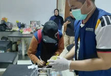 Dinkes Kota Semarang Tangani Dugaan Keracunan Pangan di SMK Negeri 6