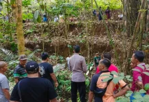 Angkut Muatan, Buruh Ojek Kayu di Wonosobo Tewas Terjatuh ke Tebing