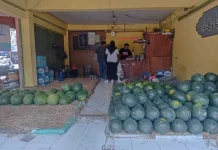 Cuaca Panas Dongkrak Minat Masyarakat Konsumsi Semangka