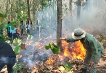 Mencegah Karhutla, Melindungi Masa Depan Jawa Tengah