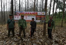 Potensi Karhutla Meningkat, Perhutani Perkuat Patroli di Kawasan Hutan Boyolali