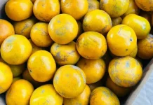 Tips Menyimpan Buah Jeruk agar Tahan Lebih Lama