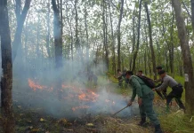 Simulasi Penanganan Karhutla, Perhutani-Polres Grobogan Perkuat Kesiapsiagaan