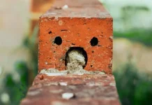 Pareidolia Visual, Fenomena Otak Melihat Wajah pada Benda Sehari-hari