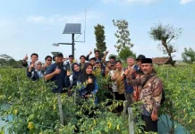 KKN Undip Susun Masterplan Desa Campuranom hingga 2034