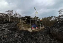 Lahan Seluas 2.000 Meter Persegi di Gunung Merapi Terbakar