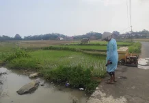Air Irigasi Menyusut, DPRD Pekalongan Dorong Langkah Darurat Jaga Pertanian
