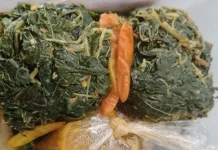 Resep Buntil Daun Pepaya dengan Lombok Setan Utuh