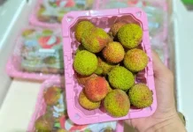 Tips Menyimpan Buah Leci agar Tahan Lebih Lama