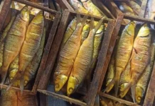 Tips Memilih Bandeng Presto Kemasan Papan yang Berkualitas