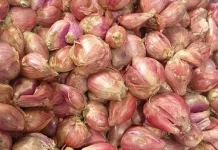 Cara Mengupas Kulit Bawang Merah Cepat dan Praktis