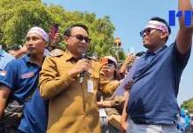 Harga Telur Anjlok, Pakan Naik, Peternak Pati Tuntut Pemerintah Bertindak