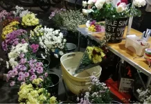 Ada Makna Apresiasi yang Terus Berkembang, di Balik Buket Bunga