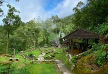 Pesona Alam Candi Gedong Songo