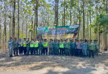 Puncak Musim Kemarau, Perhutani Telawa Perketat Patroli Pencegahan Karhutla