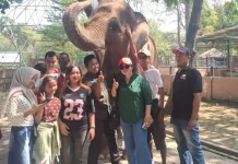 Semarang Zoo Peringati Hari Gajah Sedunia, Zella Jadi Pusat Perhatian Pengunjung