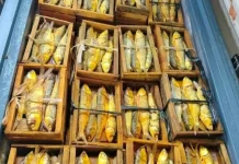Ciri-Ciri Bandeng Presto Kemasan Papan yang Masih Segar