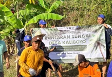 KKN Undip Peduli Lingkungan, Tanam Pohon Kelapa dan Ficus di Bantaran Sungai