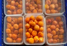 Peluang Usaha Jualan Uritan Telur Muda