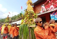 HUT RI, Karnaval Banyuasin Kembaran Purworejo Padukan Tradisi dan Kreativitas